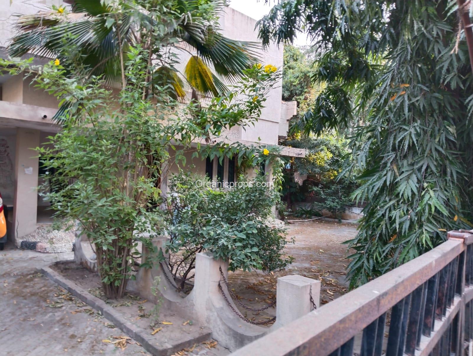 WhatsApp Image 2022-12-13 at 320221213185404725.jpeg